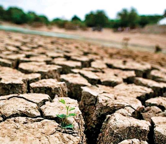 القوات اللبنانية وبولا يعقوبيان ينشران التّضليلات حول سد بسري