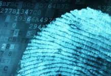 استهداف التدقيق المالي الجنائي من خلال التضليل القانوني