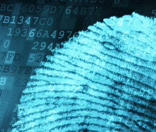 استهداف التدقيق المالي الجنائي من خلال التضليل القانوني