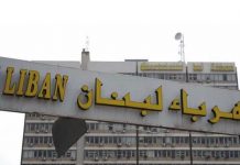 بالصوت والصورة: تحذيرات باسيل منذ ٢٠١٠ عن تراكم الخسائر في قطاع الكهرباء جرّاء عرقلة المعامل