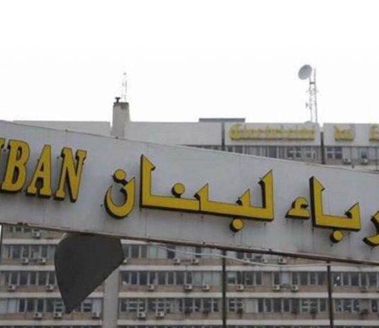 بالصوت والصورة: تحذيرات باسيل منذ ٢٠١٠ عن تراكم الخسائر في قطاع الكهرباء جرّاء عرقلة المعامل