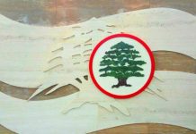 ملحم رياشي يفضح القوات