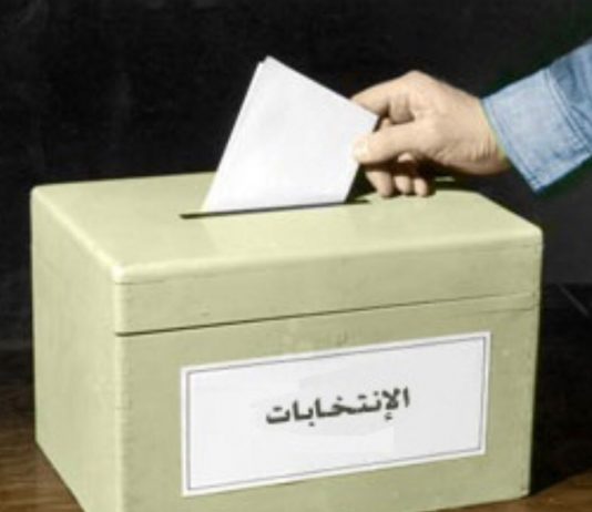 تكتل لبنان القوي يتقدم بطعن في تعديلات قانون الانتخابات في المجلس الدستوري