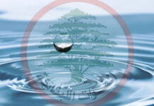 مرشحة القوات اللبنانية في جزين تمنع المياه عن جزين وبيروت دون بديل