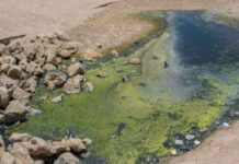 المياه الجوفية الملوّثة مصدر تفشّي الكوليرا، برسم نوابغ نظريّة الآبار بديلاً عن السدود