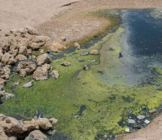 المياه الجوفية الملوّثة مصدر تفشّي الكوليرا، برسم نوابغ نظريّة الآبار بديلاً عن السدود