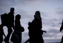 لبنان من بلد الأرز إلى بلد النّزوح الأكبر