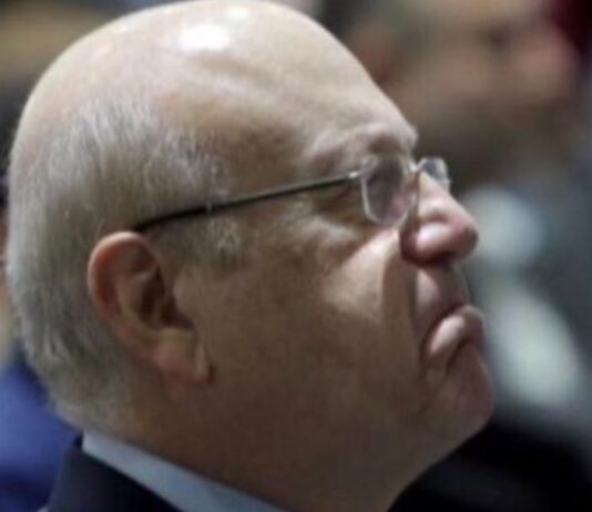 نجيب العجيب